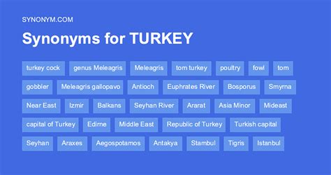 Turnkey Synonyms & Antonyms .